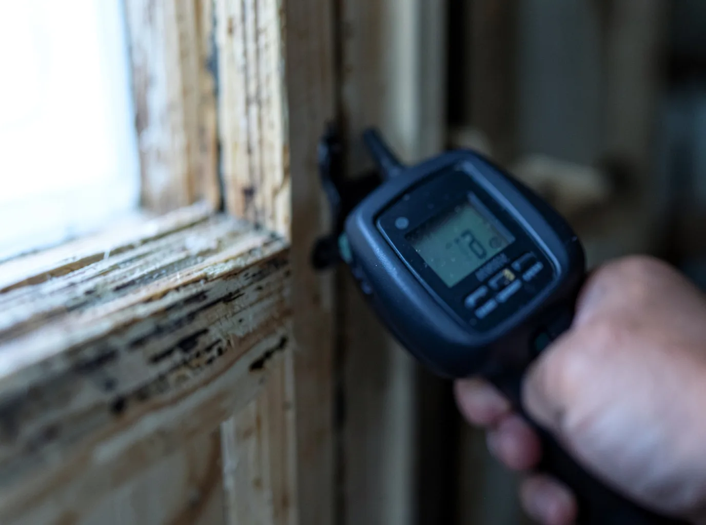 Commercial Water Damage Restoration in Lynden, WA